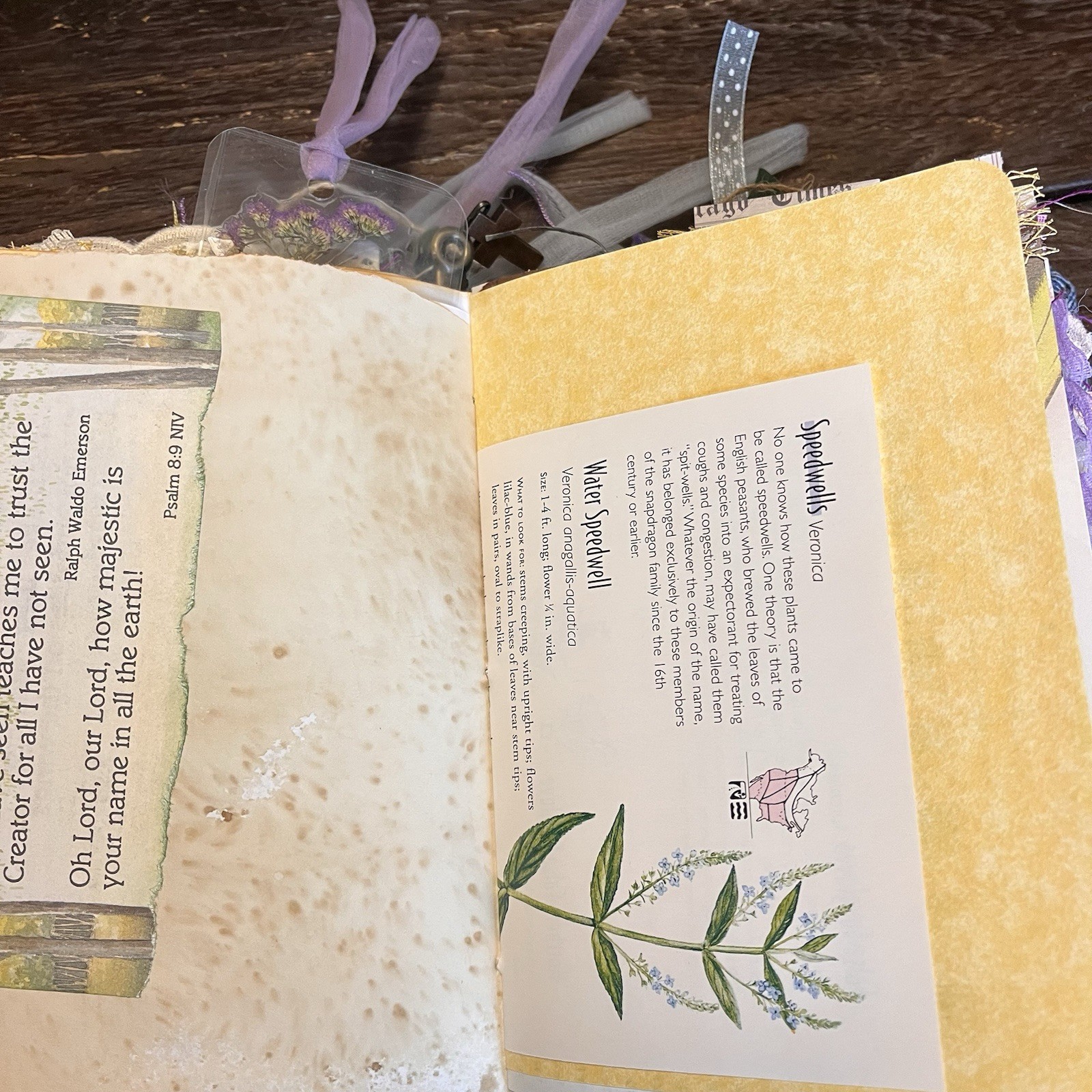 Junk Journal Floral Faith Christian Boho Denim Cottage Core 3 Sig Softcover