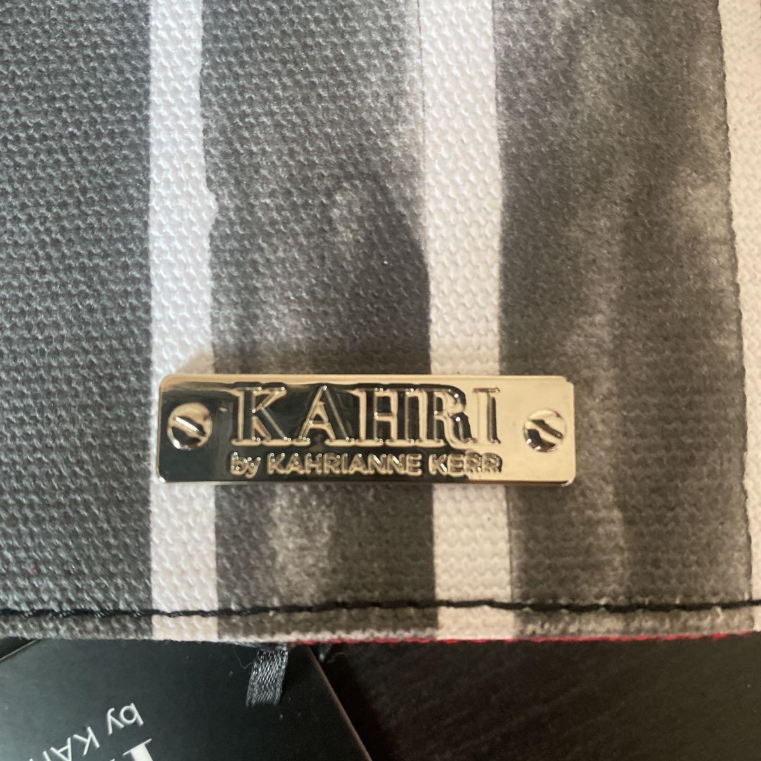 KAHRI by KAHRIANNE KERR Book Cover Anime Collectible Gray White Stripes Silver S