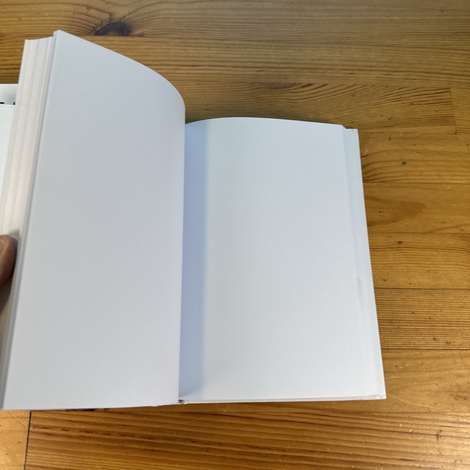 Lot Of Two New Journals London & Paris 9.5” X 6.5” Blank Unlined Pages Hardcover