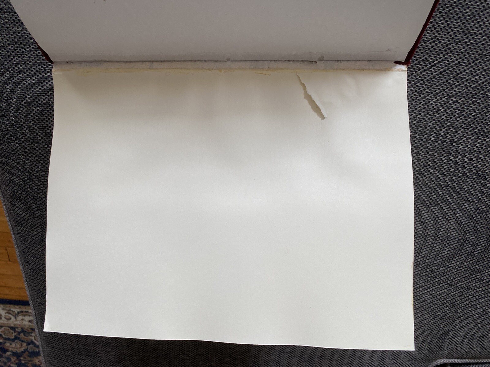 Shanghai Tang Journal Chinese Silver Dragon Photo Scrap Wedding Book Luxury