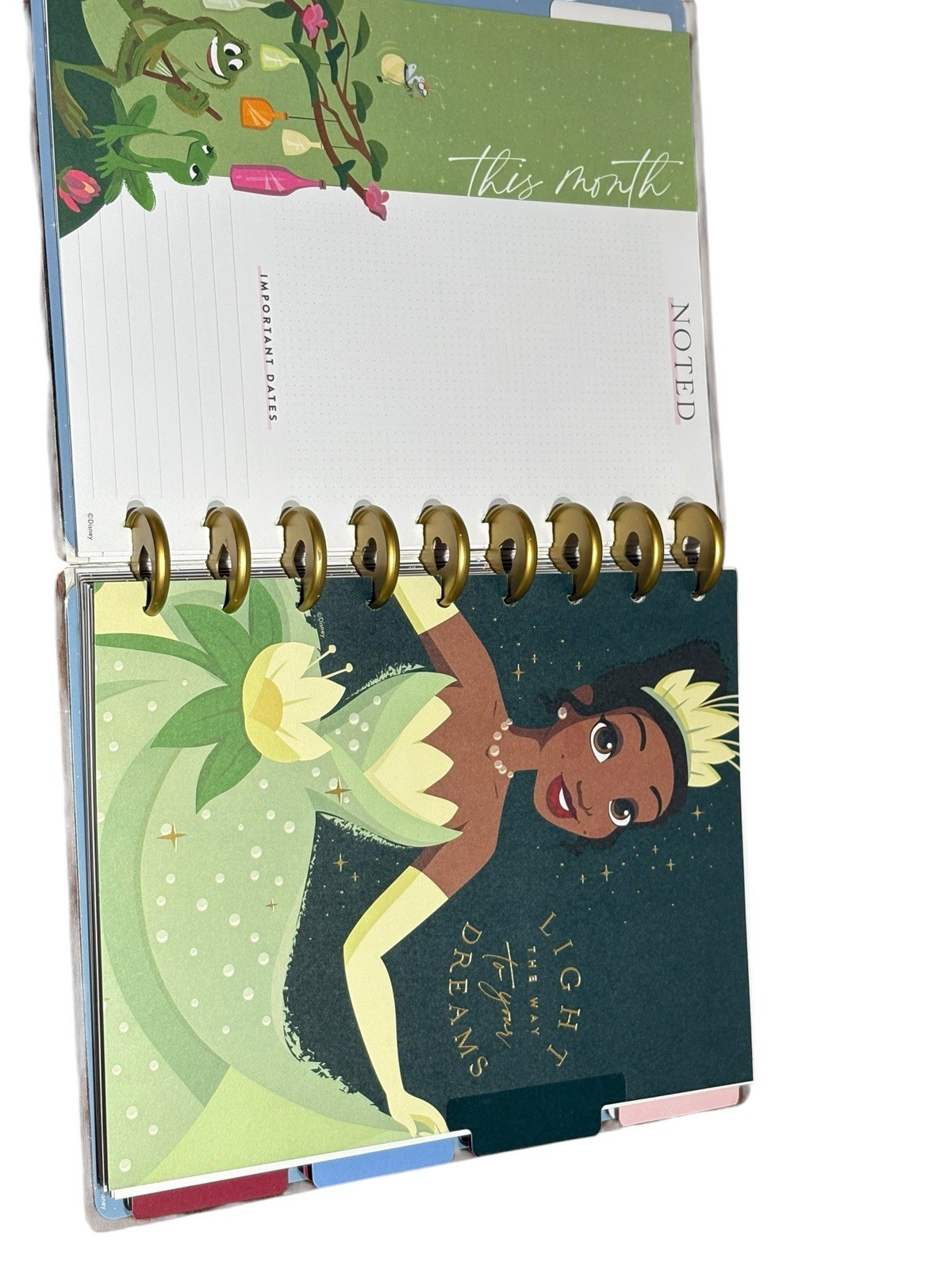 Happy Planner Undated Disney Princess Magic Begins Within Planner NOS