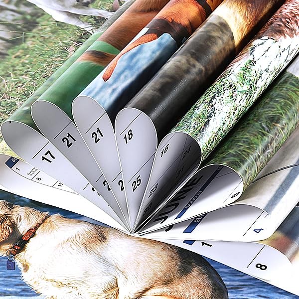 2026 Funny Calendar – Gag Gifts, Dogs Pooping Calendar 2026, 11″ x 17″ (Open), J