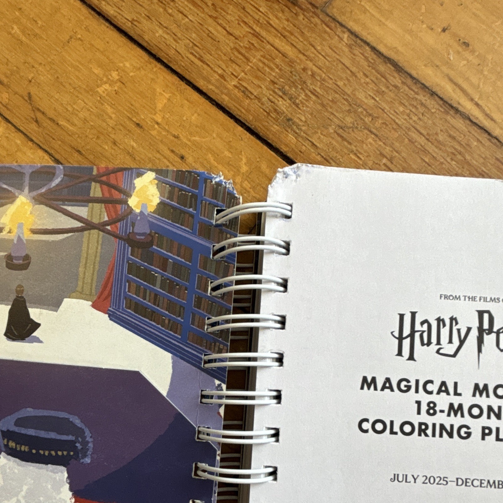 Thunder Bay Press Harry Potter Magical Moments Weekly/Monthly Planner 2025-2026