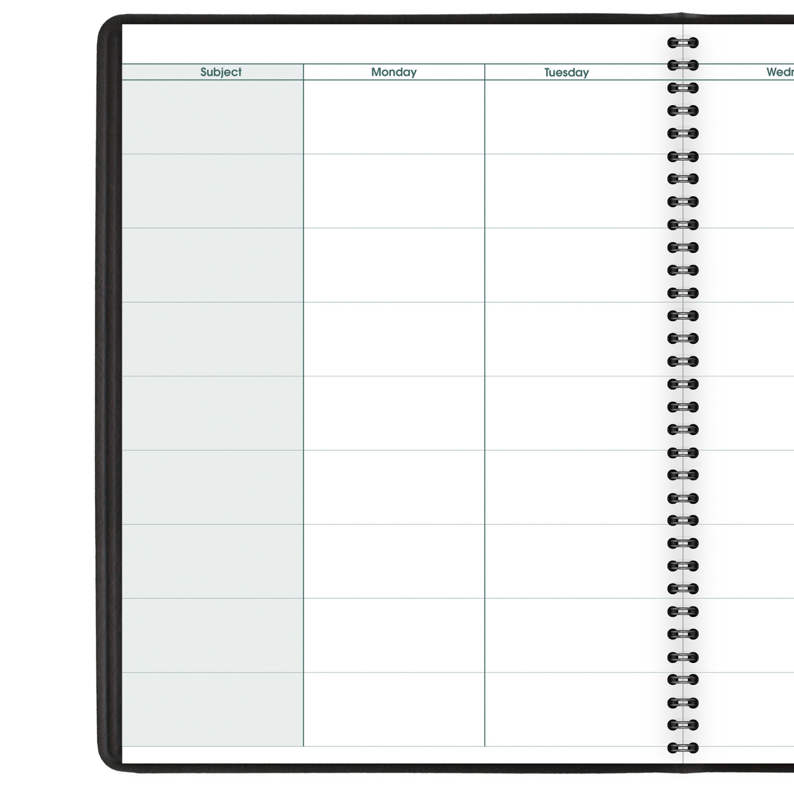 At-A-Glance Teacher Planner [Undated]: 8-1/4 in. x 11 in. (Black)