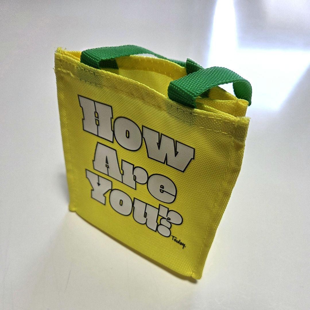 Hobonichi mini permanent paper bag