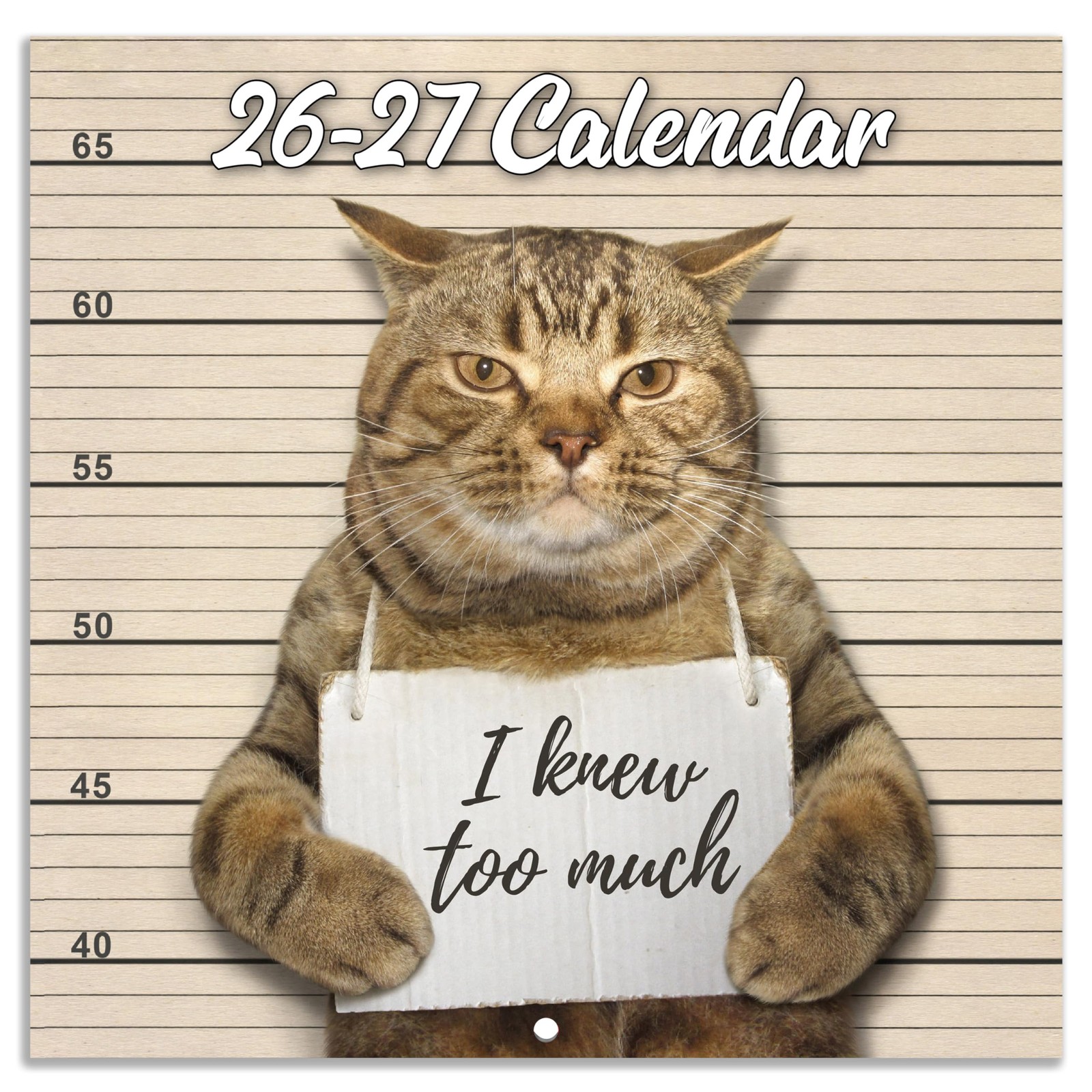 2026-2027 Wall Calendar – July 2026 – December 2027, Funny 12″ x 24″, Brown