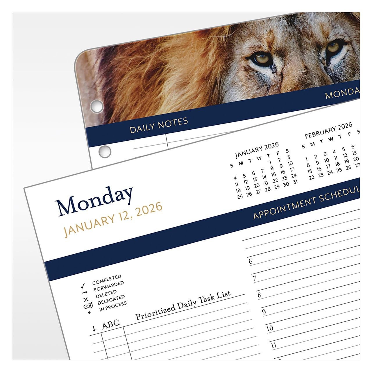FranklinCovey – Leadership Planner Refill | Two Pages Per Day Ring-Bound (Mon…