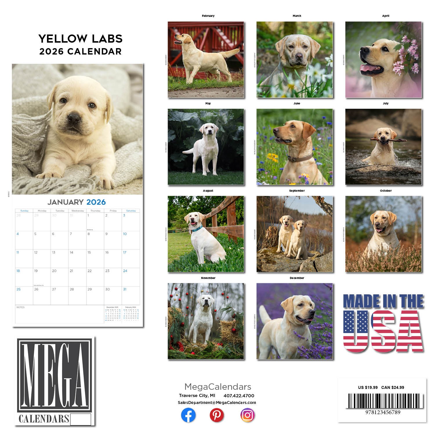 Yellow Labrador Calendar 2025 – Dog Breed Wall Calendar – Made in the USA!