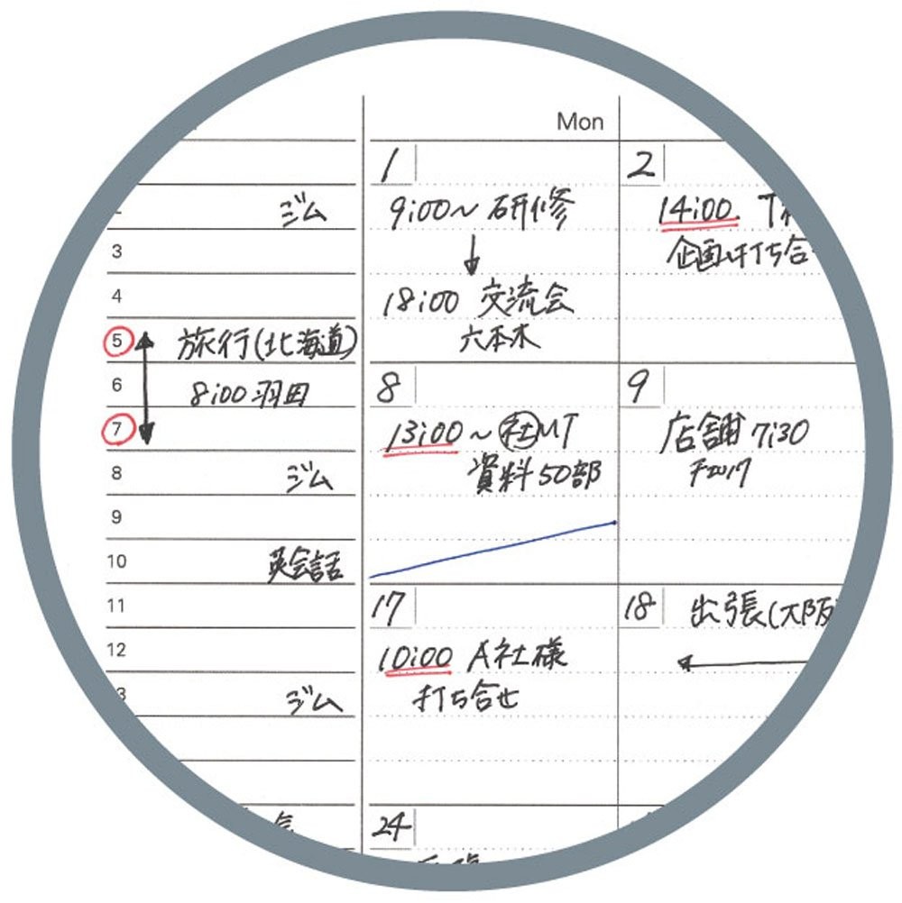 Raymay Fujii System Notebook Free Monthly Schedule Block Type A5 NT205