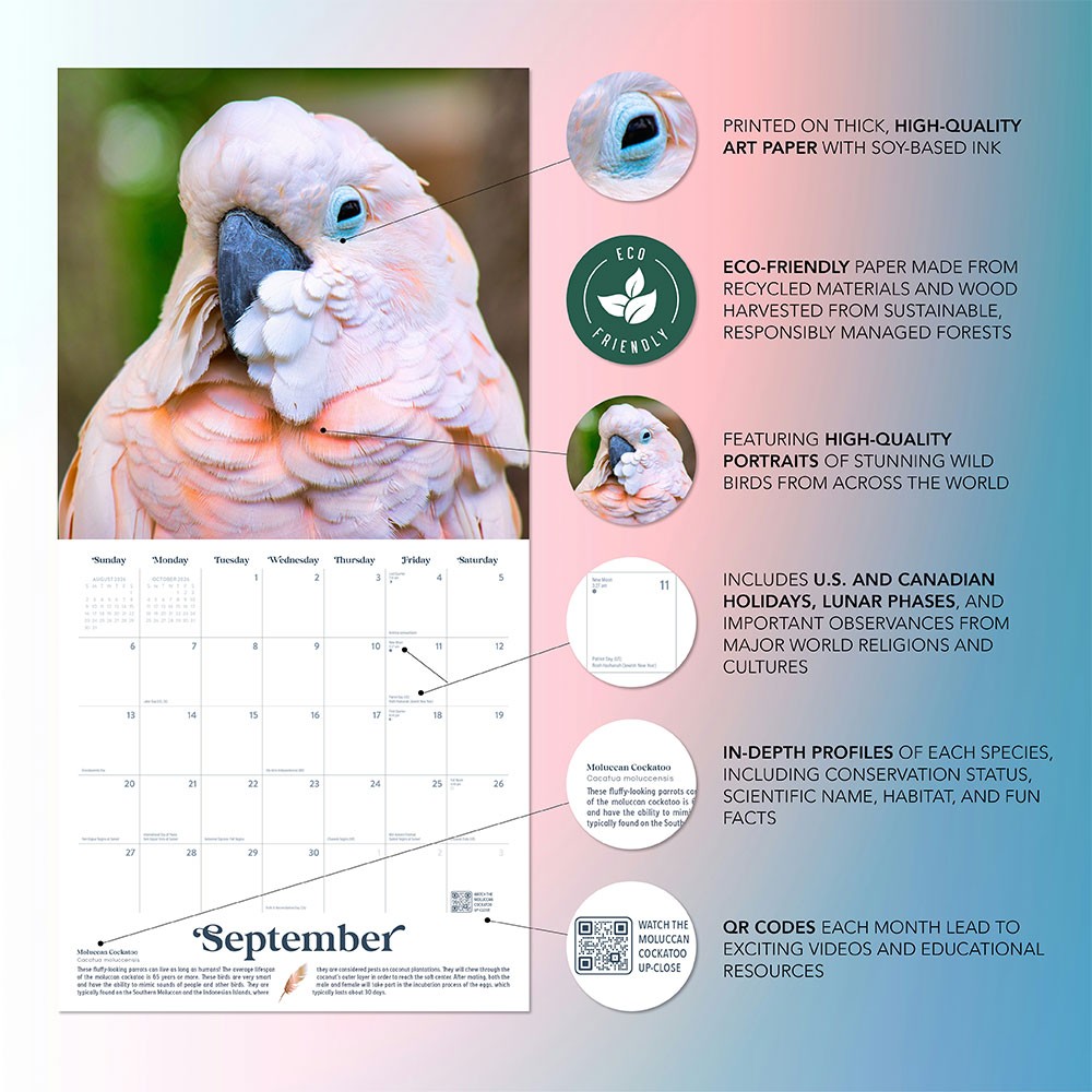 Exotic Birds Calendar 2026 | 12″ x 24″ 12 Month Calendar | Marble City Press