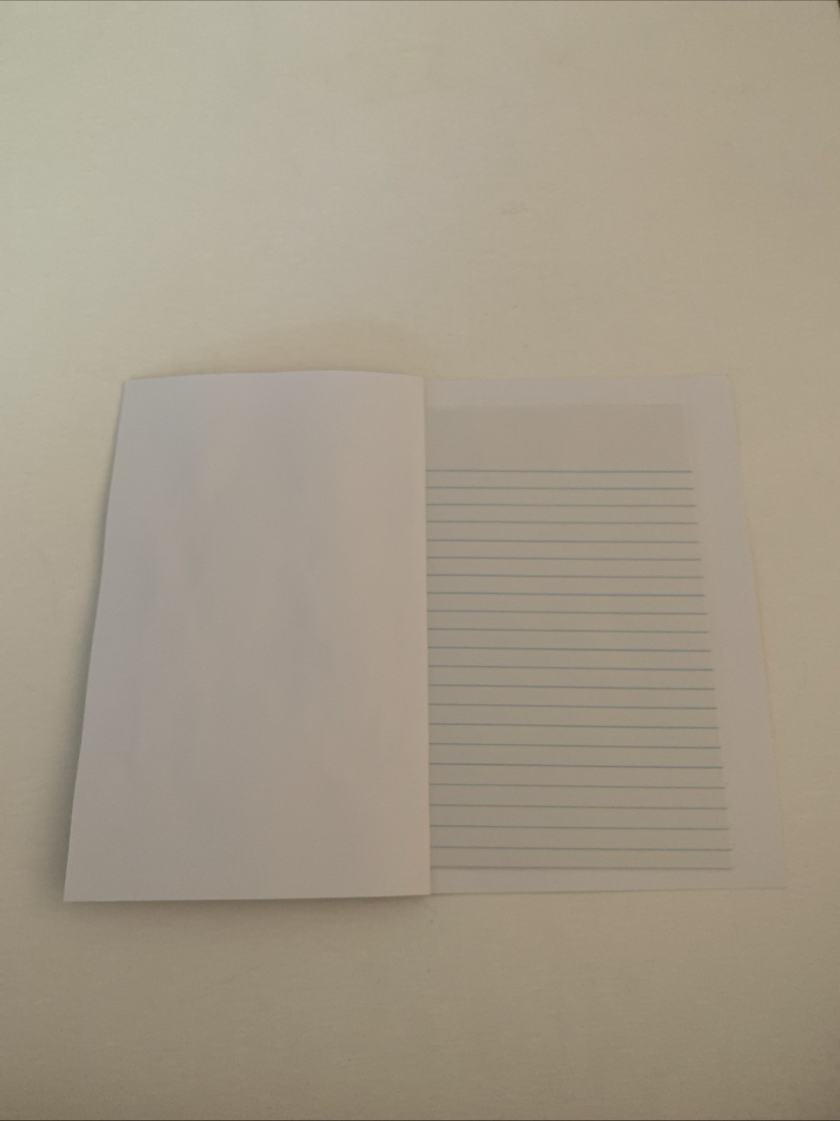 Little Cottontail Pocket Journal | Handmade Recycled Paper Notebook 1 Set