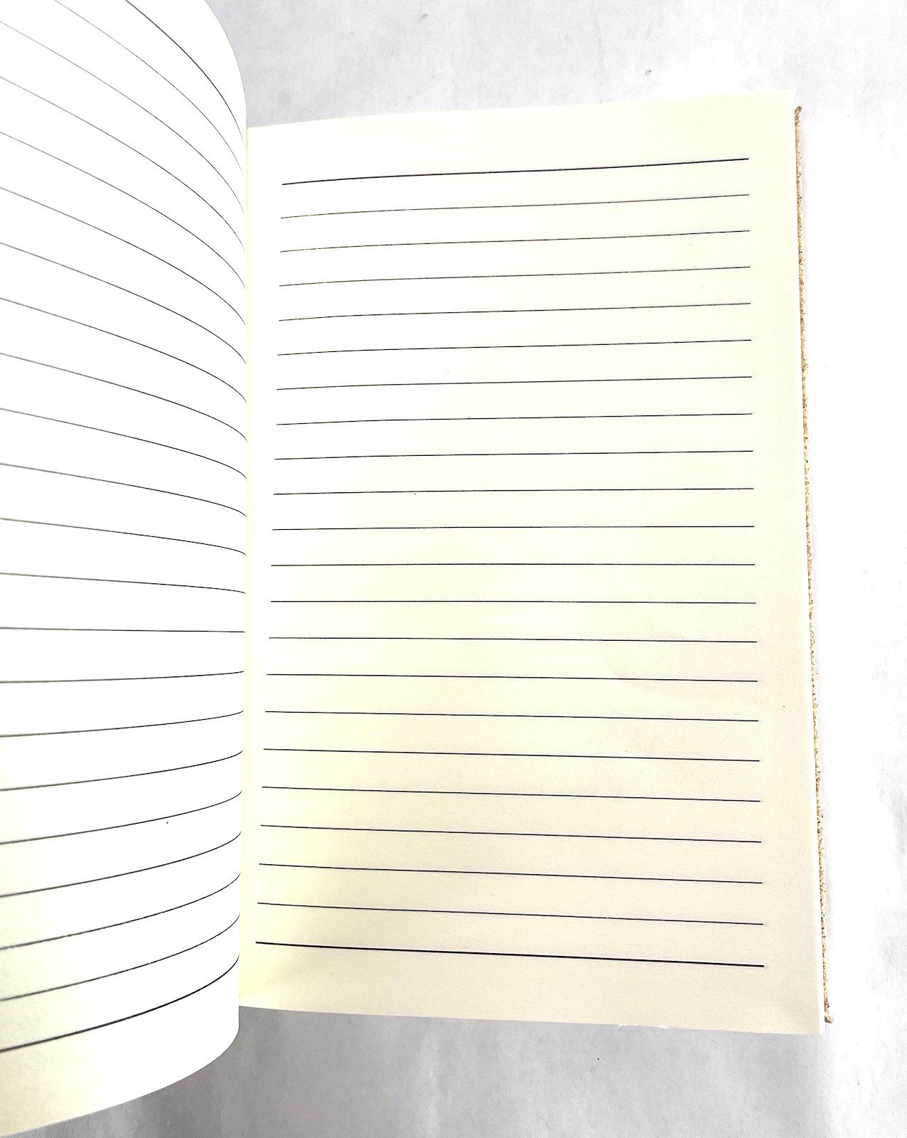Cork Diary Journal Notebook Brand New Designed Map Of Sun Valley Idaho 8.25×5.5