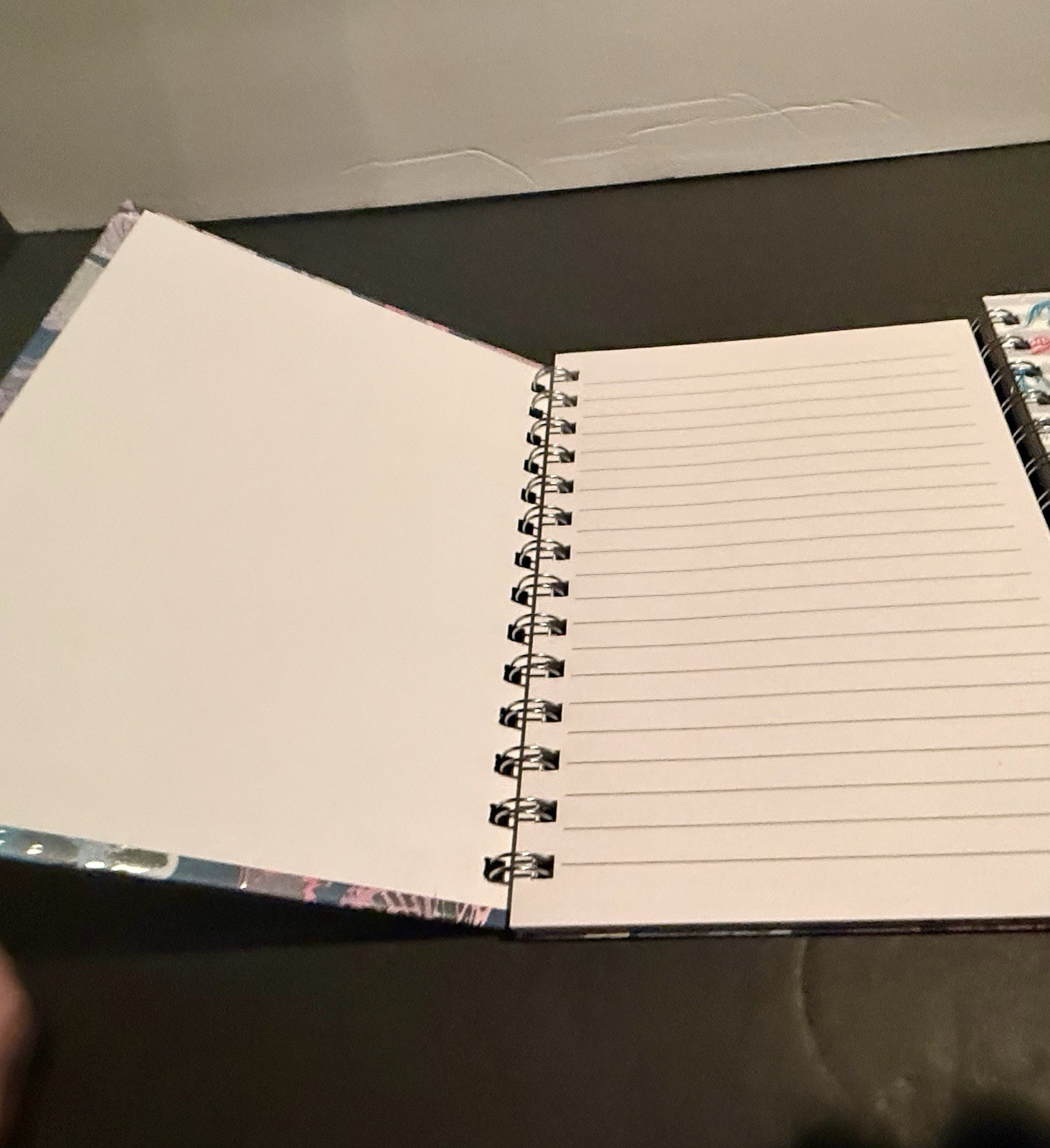 Set of 2 Spiral Journals Butterfly & Dinosaur Lined Notebooks Elastic Band New