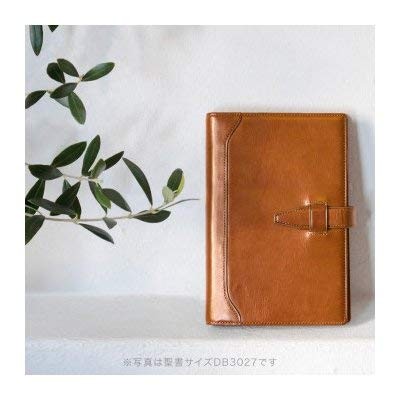 Raymay Fujii Da Vinci Grande Olive Leather System Planner A5 Slim Wine JDA3026Z