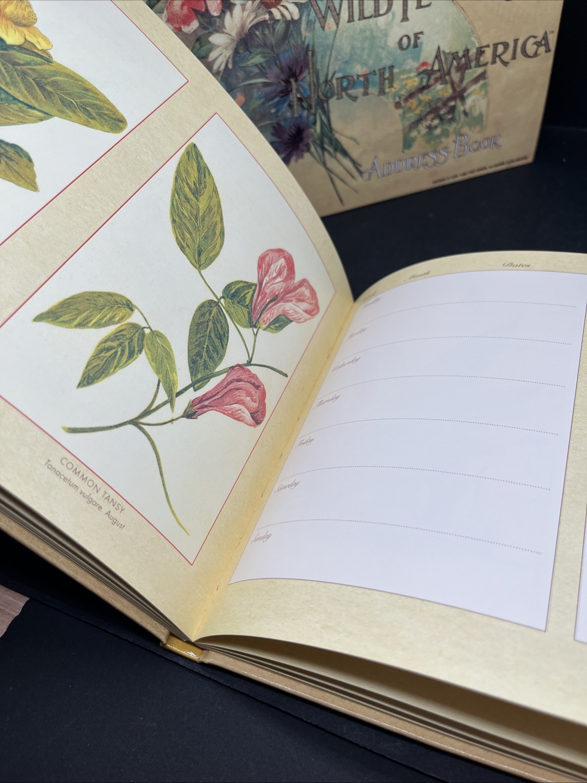 Wildflowers Of North America Daily Journal & Address Book