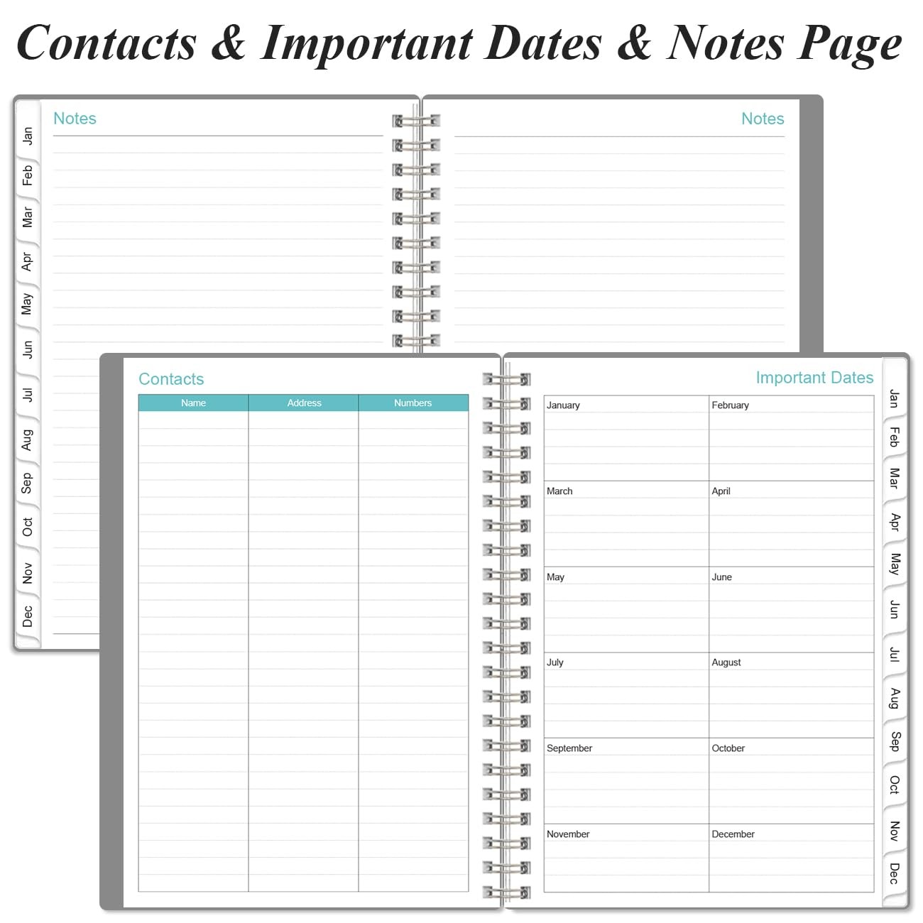 2026 Appointment Book – 2026 Daily Hourly Planner from January 2026 – Decembe…