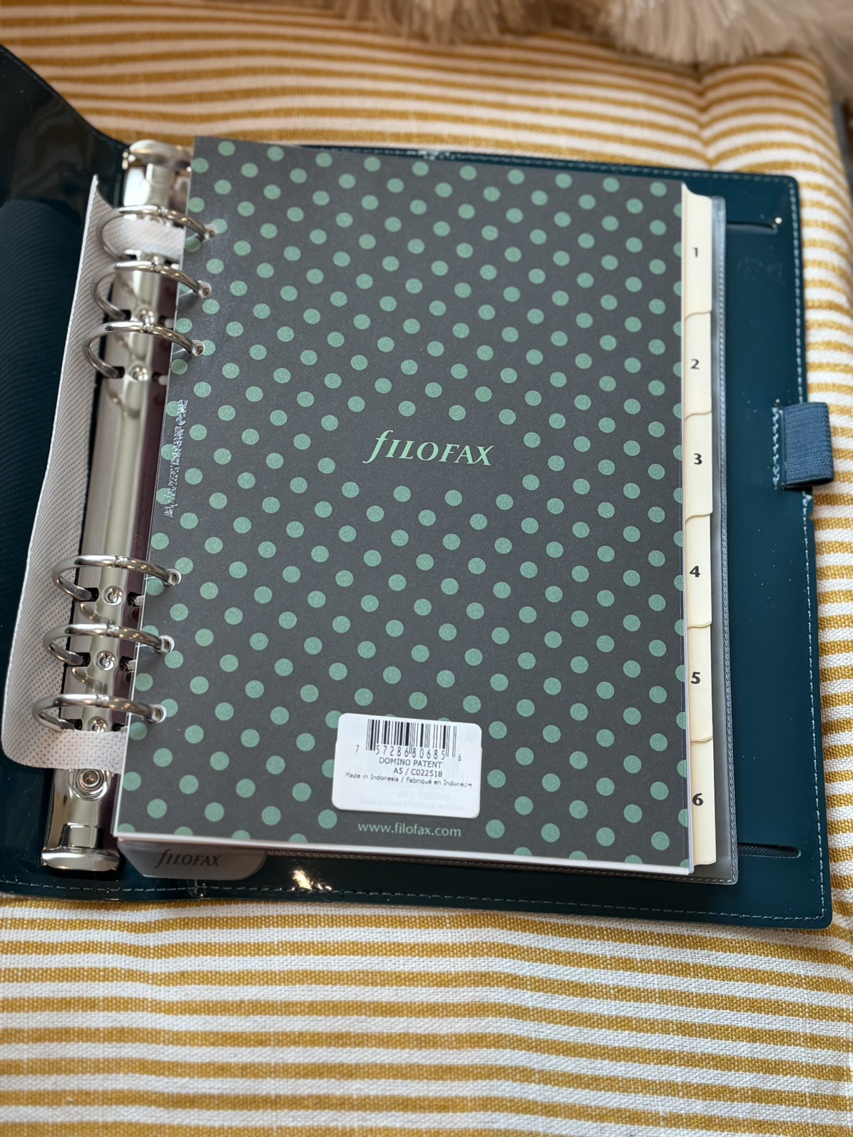 Filofax Domino Patent A5 organizer Planner 30mm Ring Rare Discontinued NEW