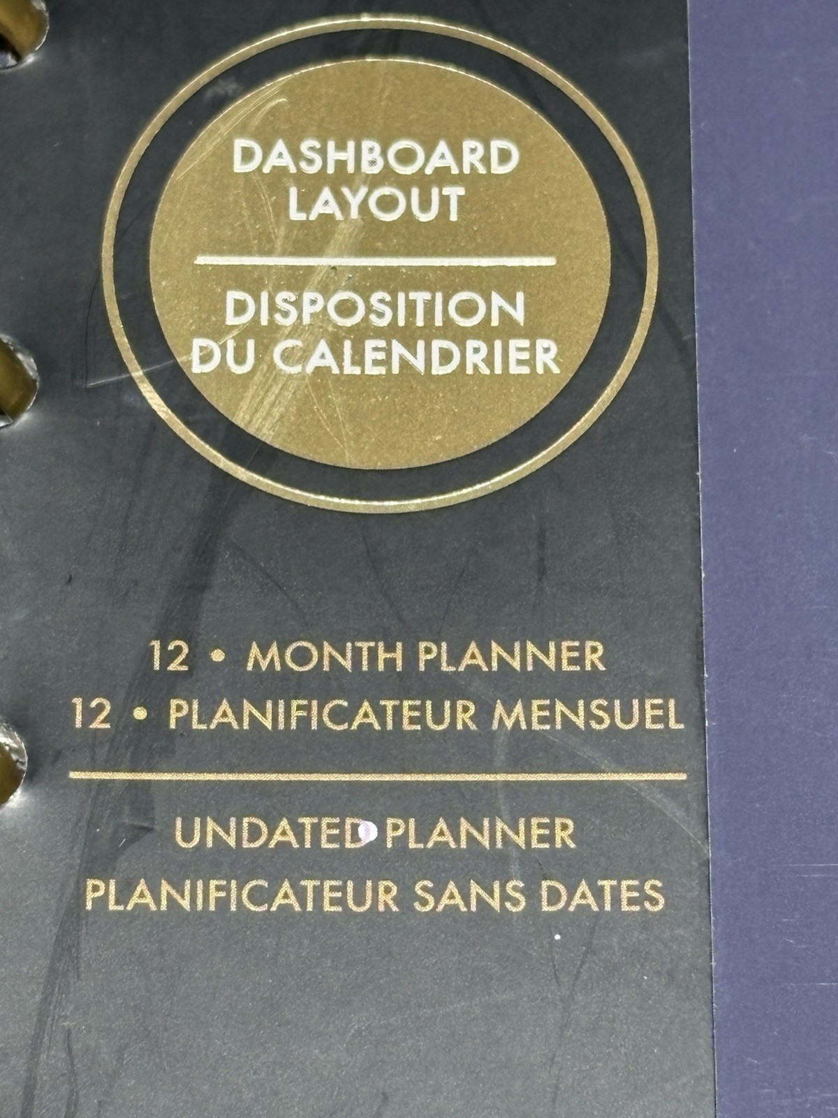Happy Planner Undated Disney Princess Magic Begins Within Planner NOS