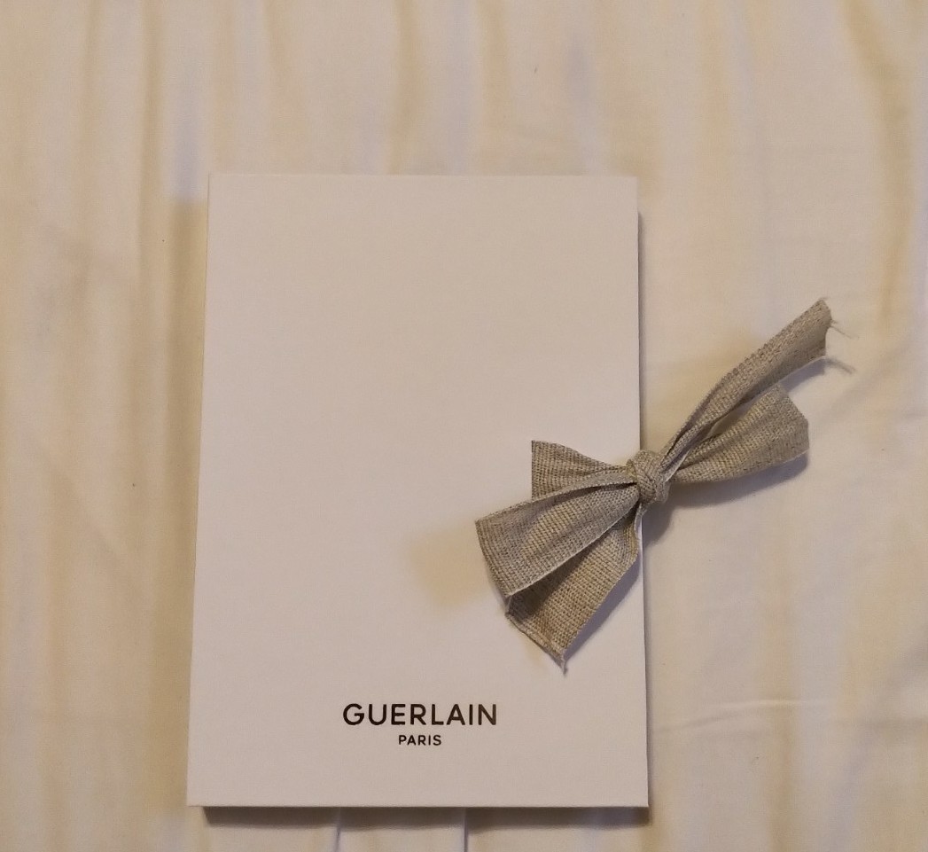 NIB GUERLAIN PARIS PORTFOLIO SET X 2 UNLINED BLANK NOTEBOOKS JOURNALS DIARIES