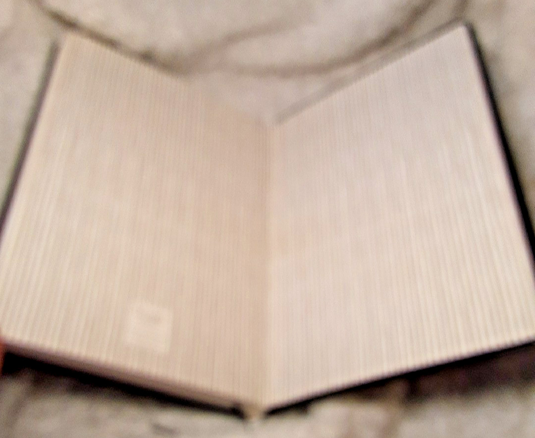 Journal Notebook The Master Plan 5.75″ x 8.25″ 256 Pages GREAT GRAD GIFT