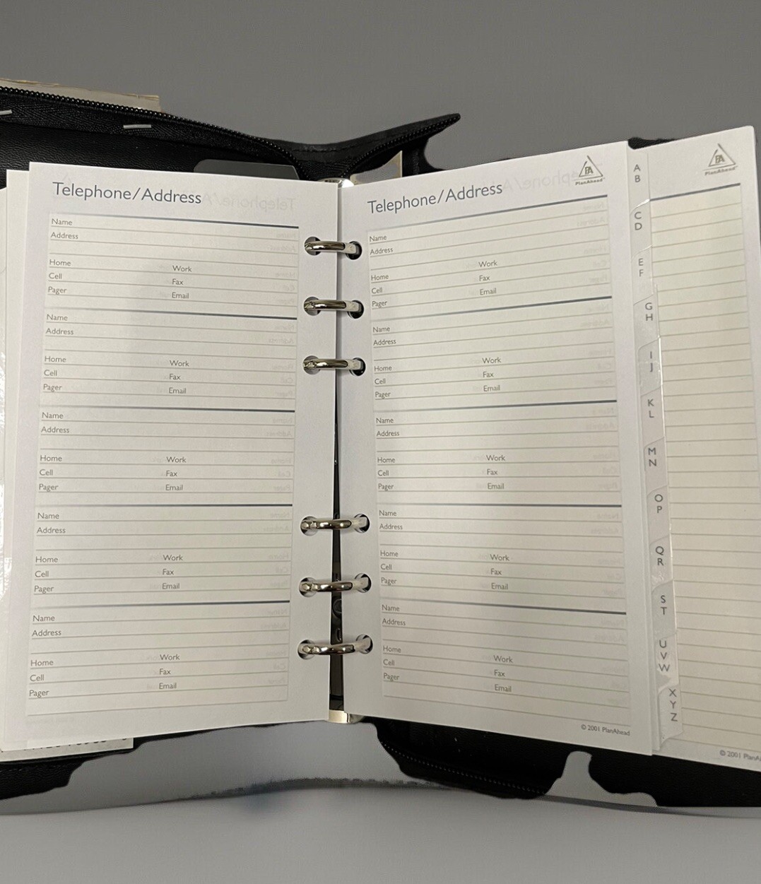 Plan Ahead 6 Ring Small Fleetwood Organizer Non Dated Weekly/Monthly 6×9 Zipped