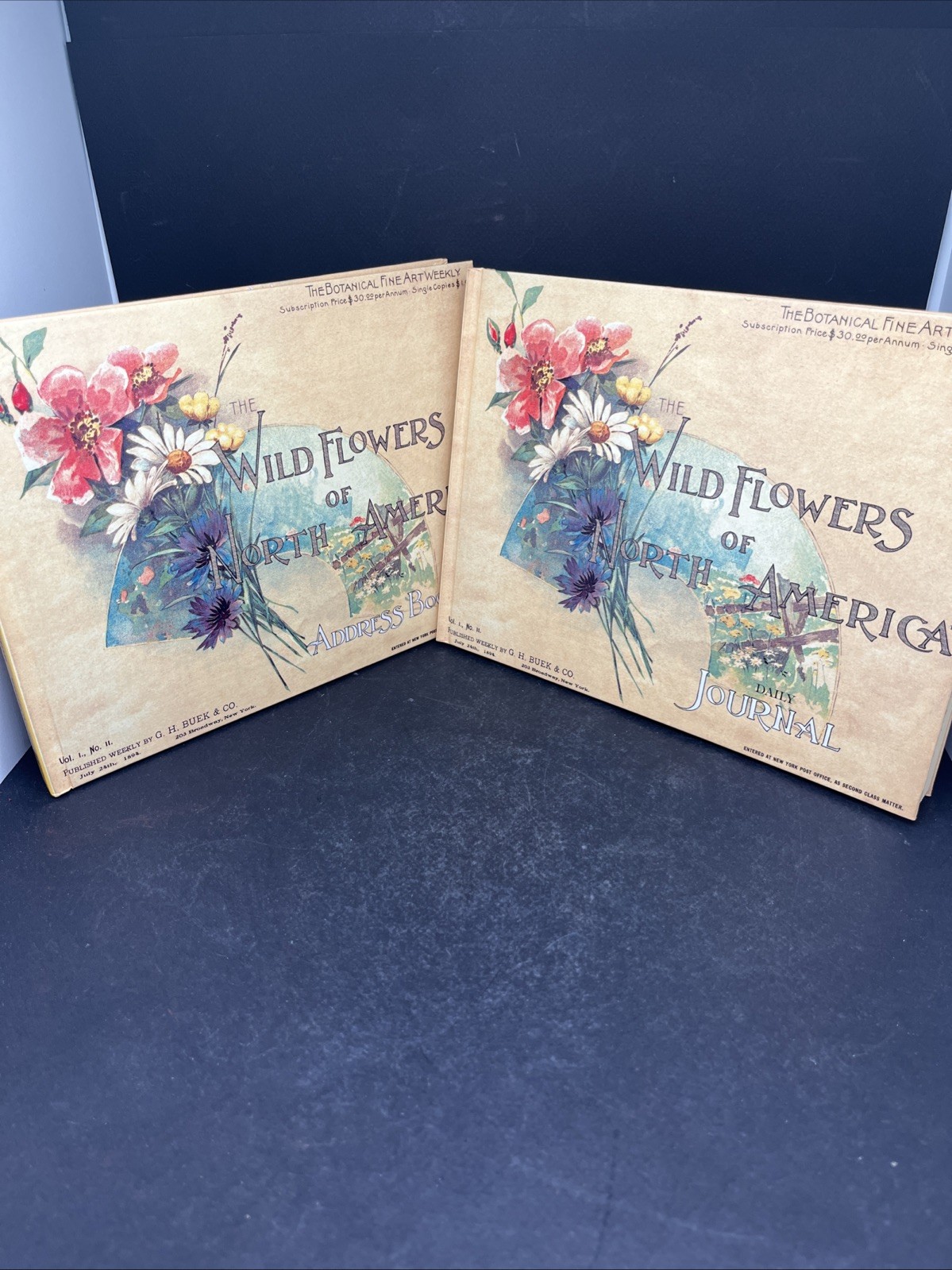 Wildflowers Of North America Daily Journal & Address Book