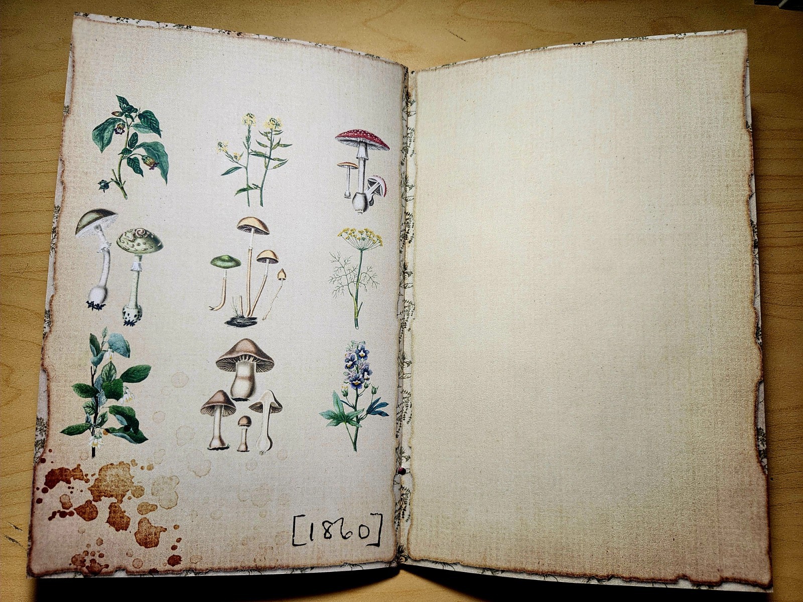 Junk Journal Booklet “BOTANY” Handmade Botanical Wildflowers Lg 8.5″x5.5″ 40pgs