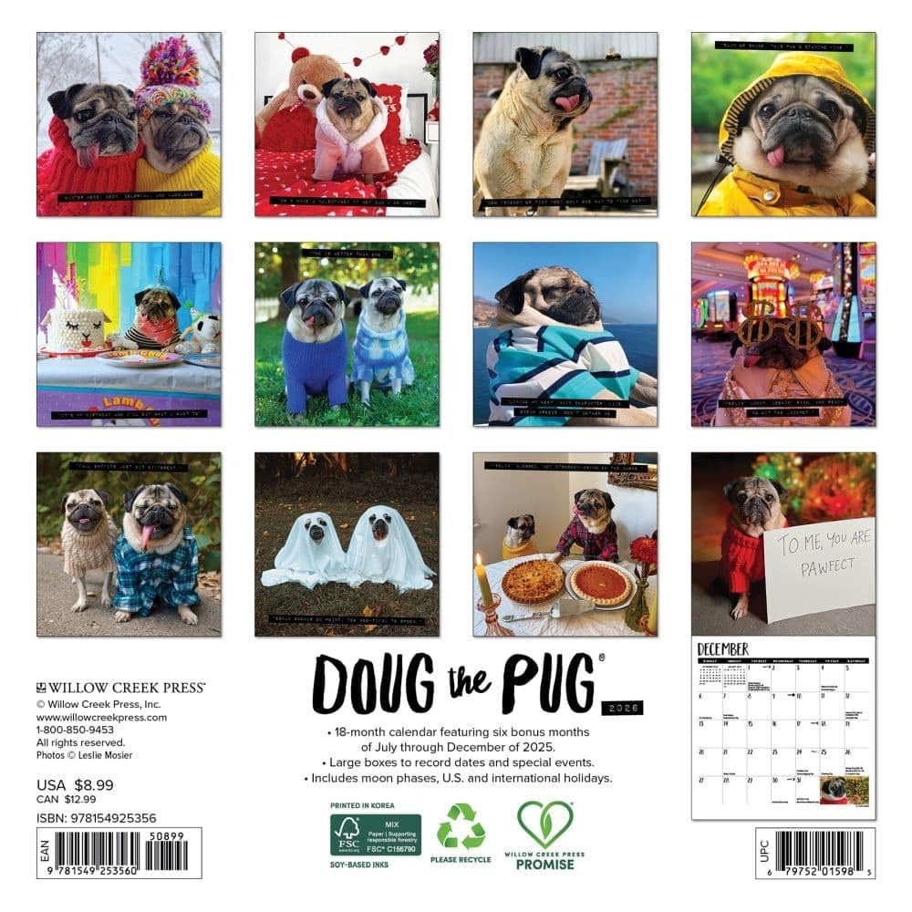 Willow Creek Press, Doug the Pug 2026 Mini Wall Calendar, 7” X 7”, Multi