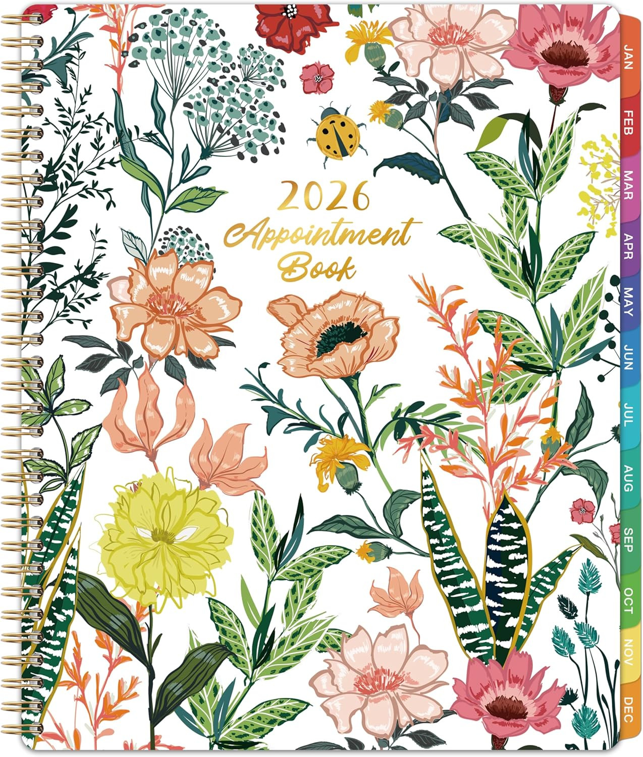 2026 Daily Hourly Planner Appointment Book 8.5×11 Weekly Monthly Tabs