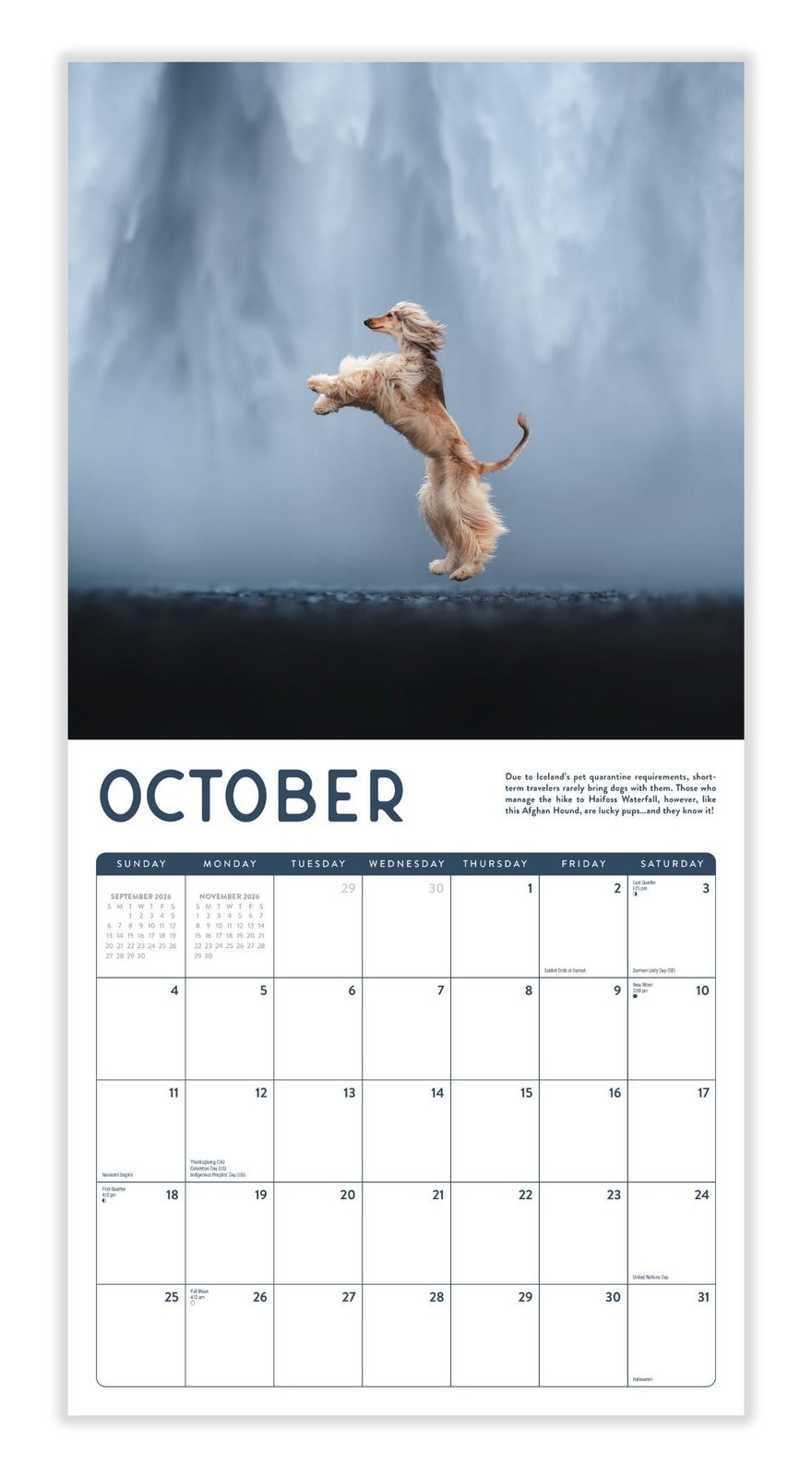 Dogs in the Wilderness 2026 Calendar | 2026 Wall 12″W x 12″H, 2026