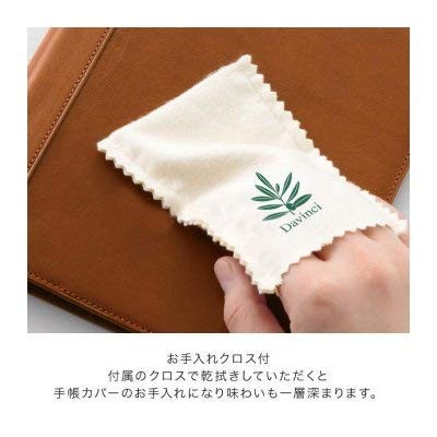 Raymay Fujii Da Vinci Grande Olive Leather System Planner A5 Slim Wine JDA3026Z