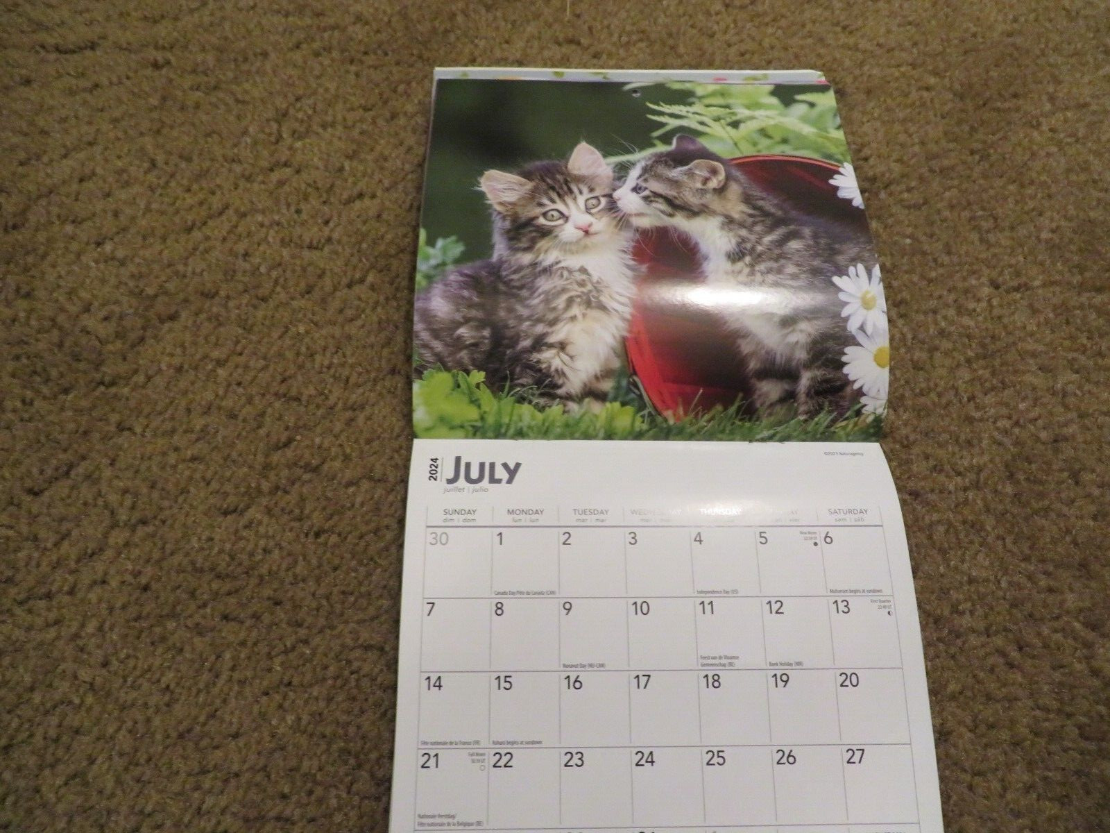 Brown Trout Love of Kittens Mini Wall Calendar 7″ x 7″ Good Cond.