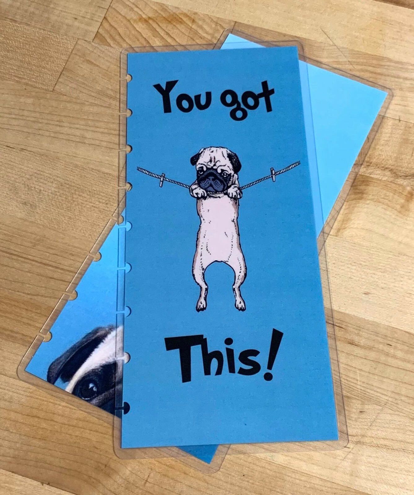 Pug “You Got This” Cover Set 4 use w Skinny Classic Happy Planner~