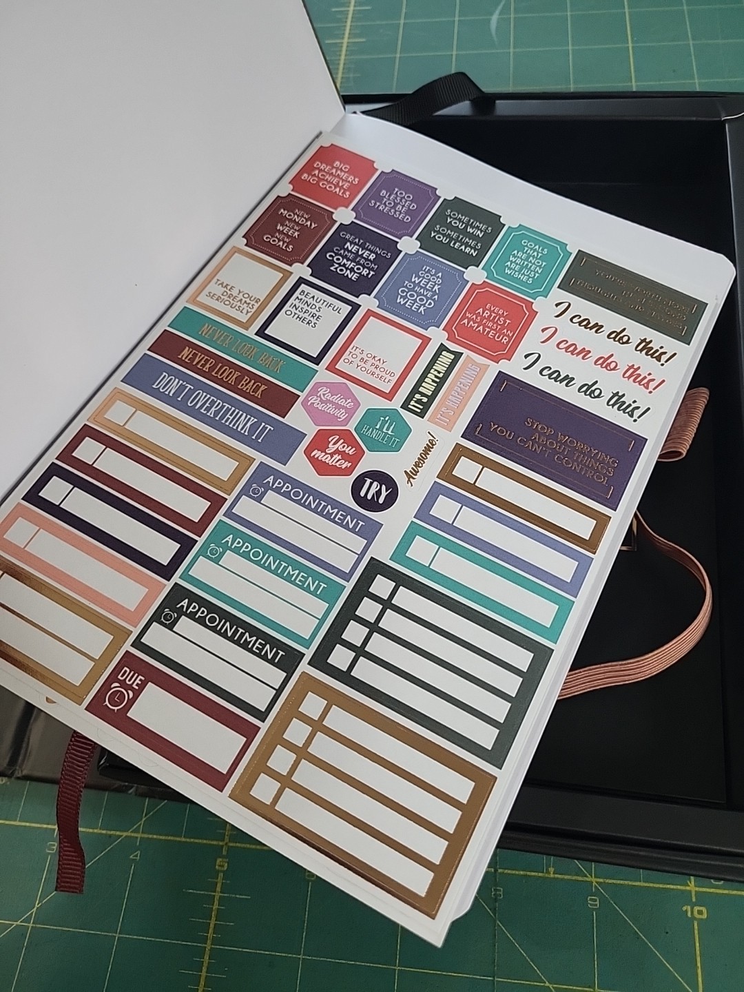 New In Box The Clever Fox 13 Weekly Ultimate Achievers Planner Rose Gold Book