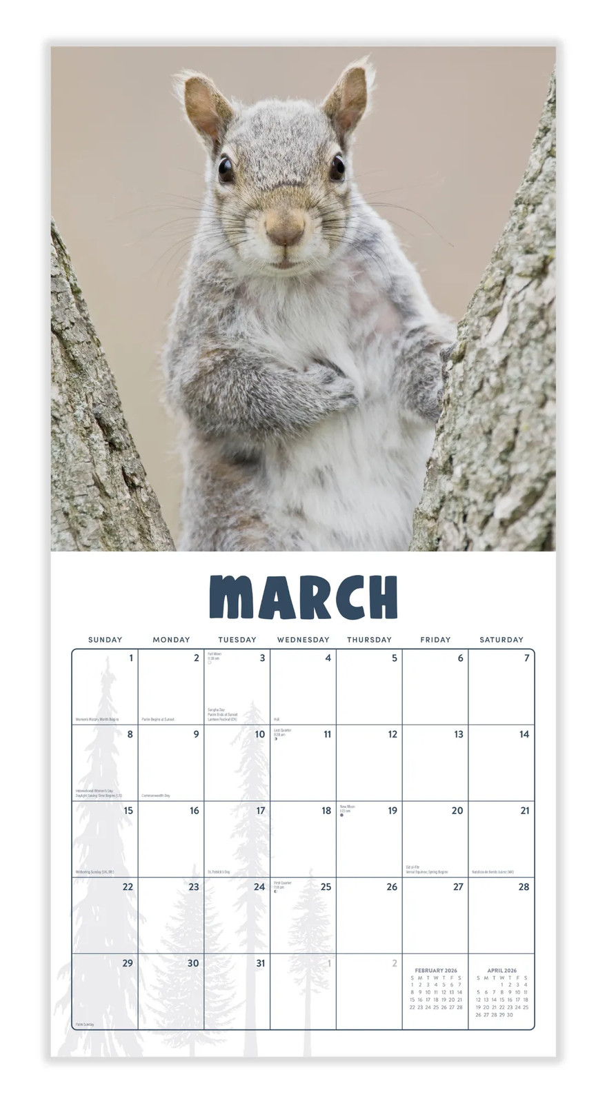 Squirrels Calendar 2026 | 12″ x 24″ 12 Month Calendar | Marble City Press