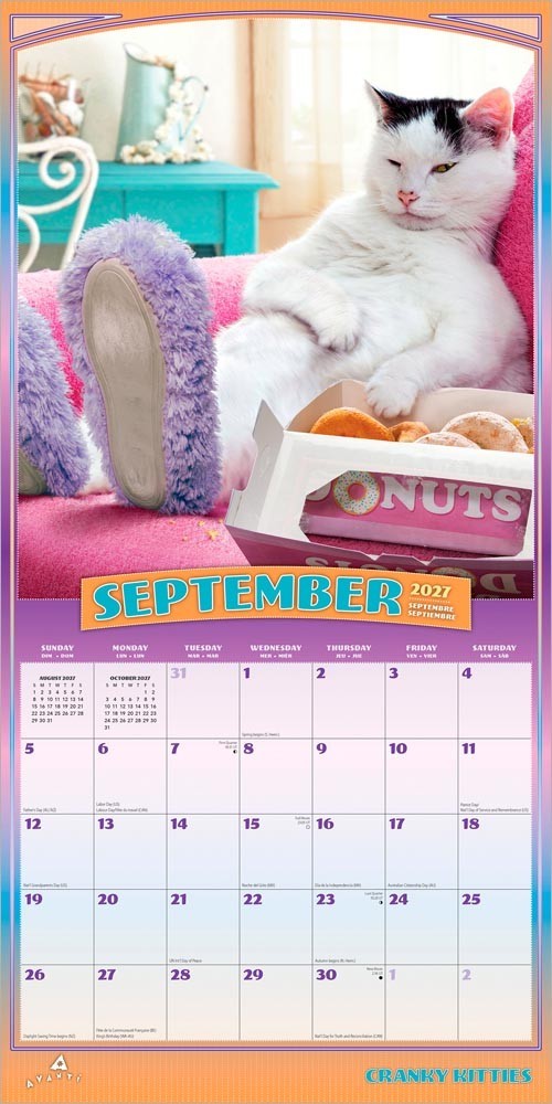 Avanti Cranky Kitties OFFICIAL | 2027 12×24″ (Hanging) Square Wall Calendar