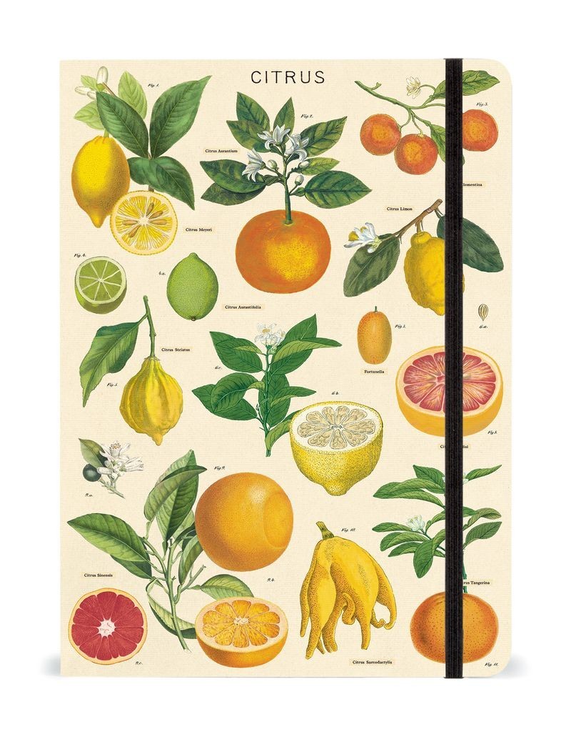 Cavallini & Co. Citrus Large Notebook with elastic closure