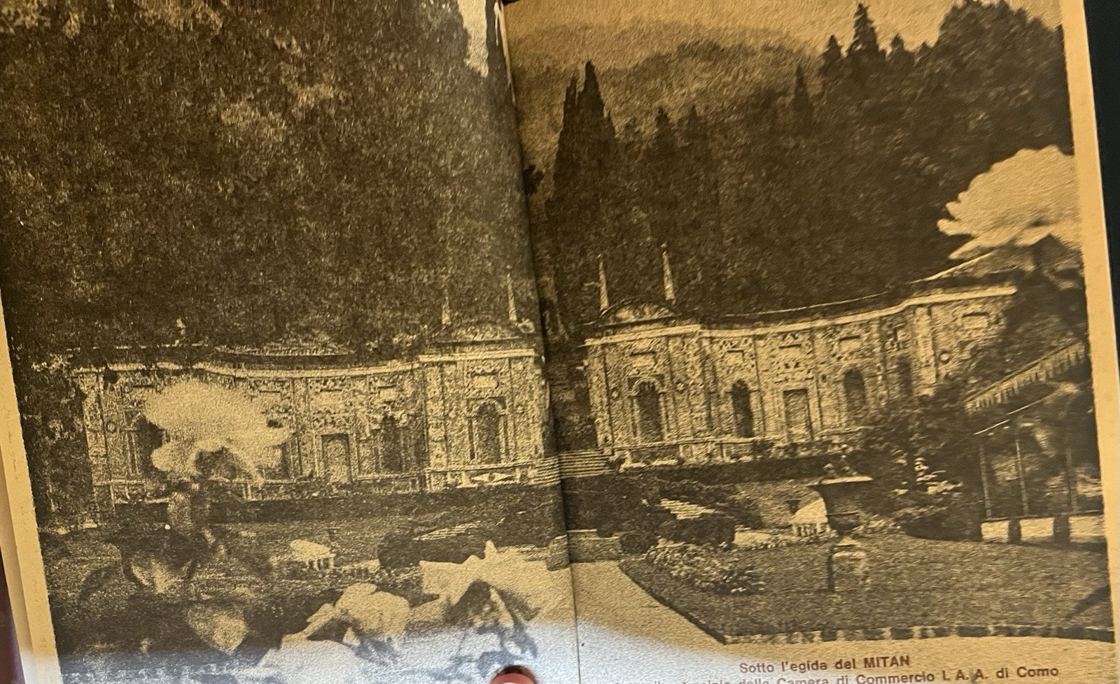 IDEACOMO 1975 Buyer’s Notebook