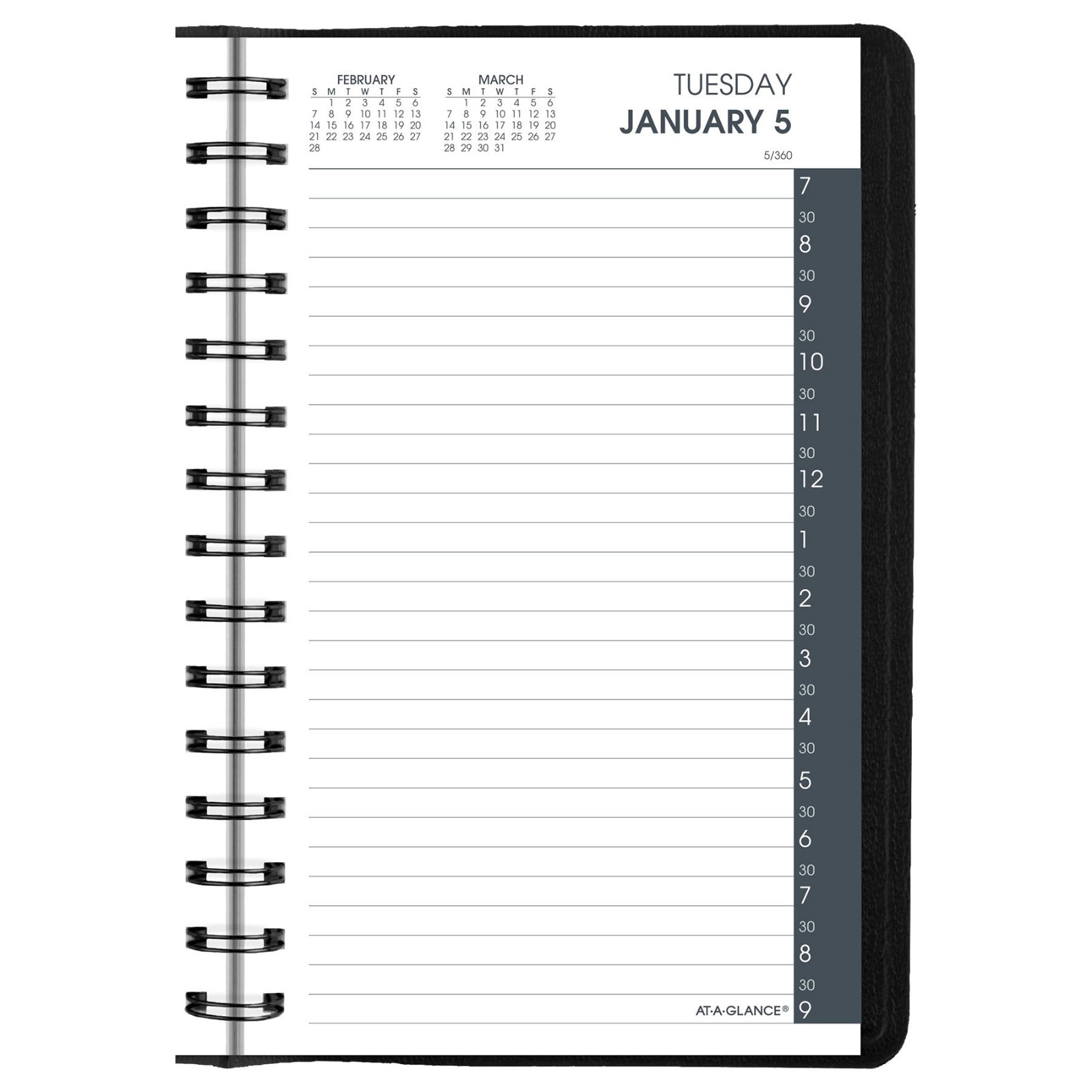 2026 At-A-Glance 70-207-05 Daily Appointment Book, 5 x 8″