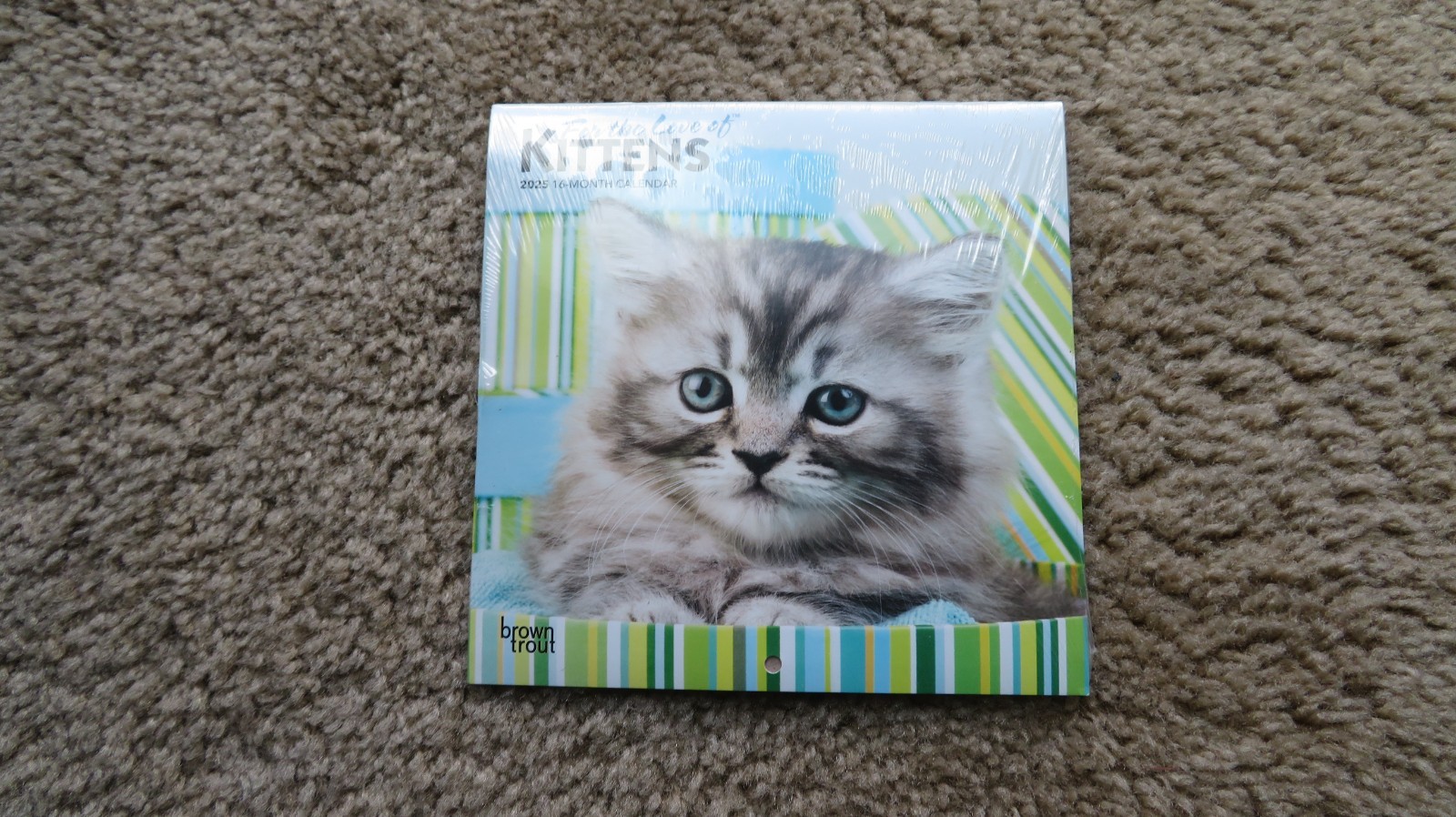Brown Trout Love of Kittens 2025 Mini Wall Calendar 7″ x 7″ NEW SEALED