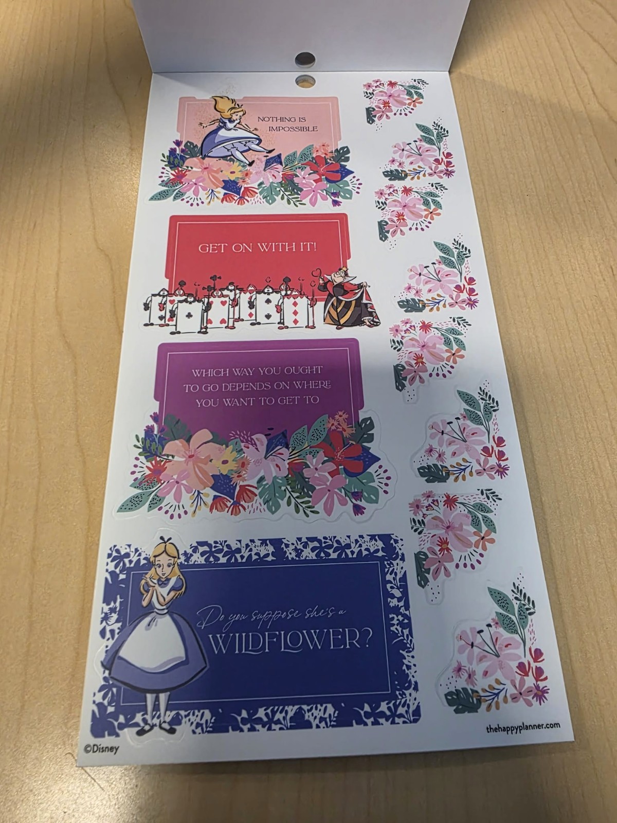 The Happy Planner Disney Alice In Wonderland 629 Stickers
