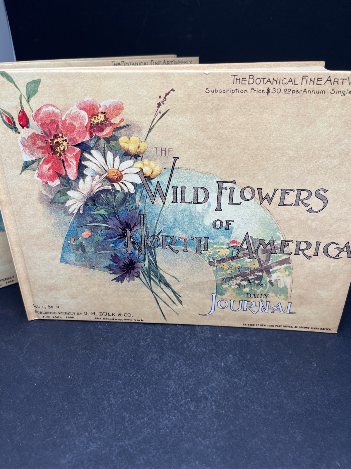 Wildflowers Of North America Daily Journal & Address Book