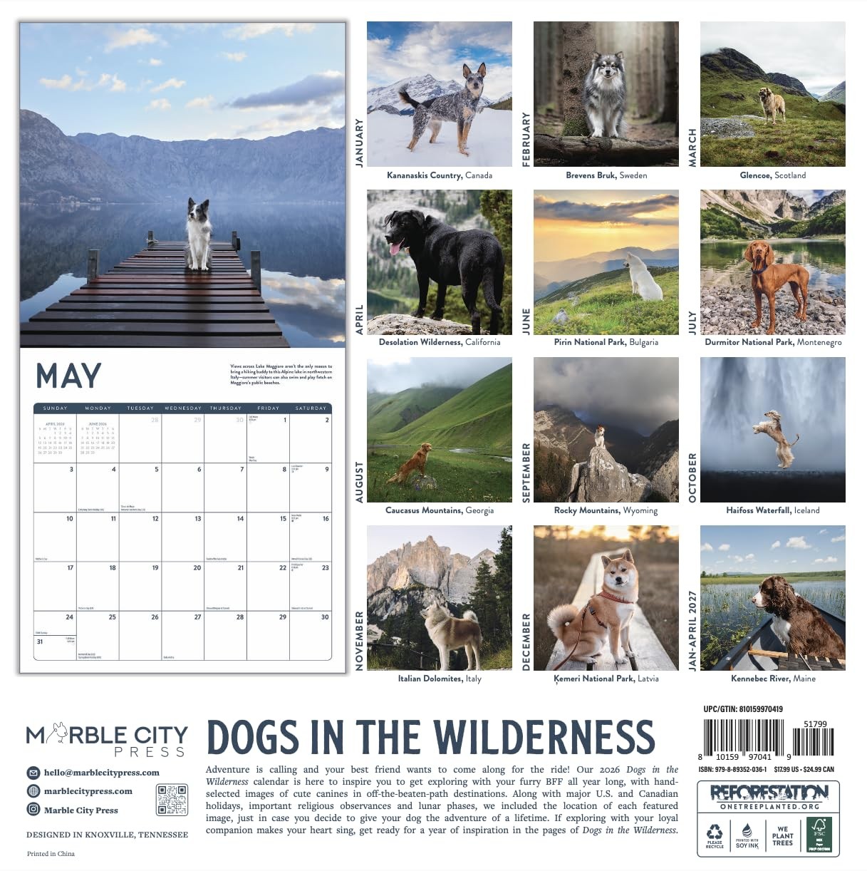 Dogs in the Wilderness 2026 Calendar | 2026 Wall 12″W x 12″H, 2026