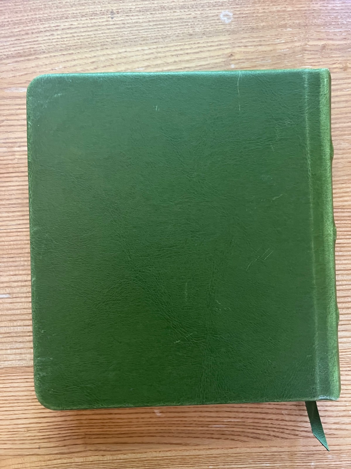 Fluer de Lis Green Lined Pages Journal Faux Leather Square