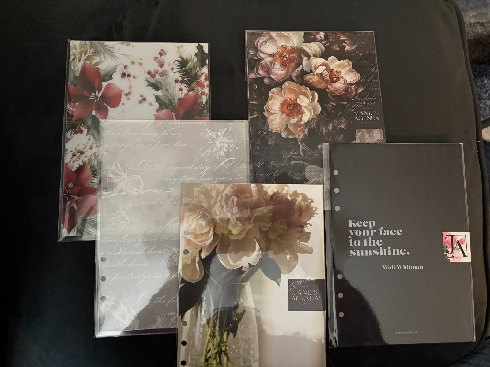 Jane’s Agenda & Cloth & Paper Planner Accessories Lot for A5 size