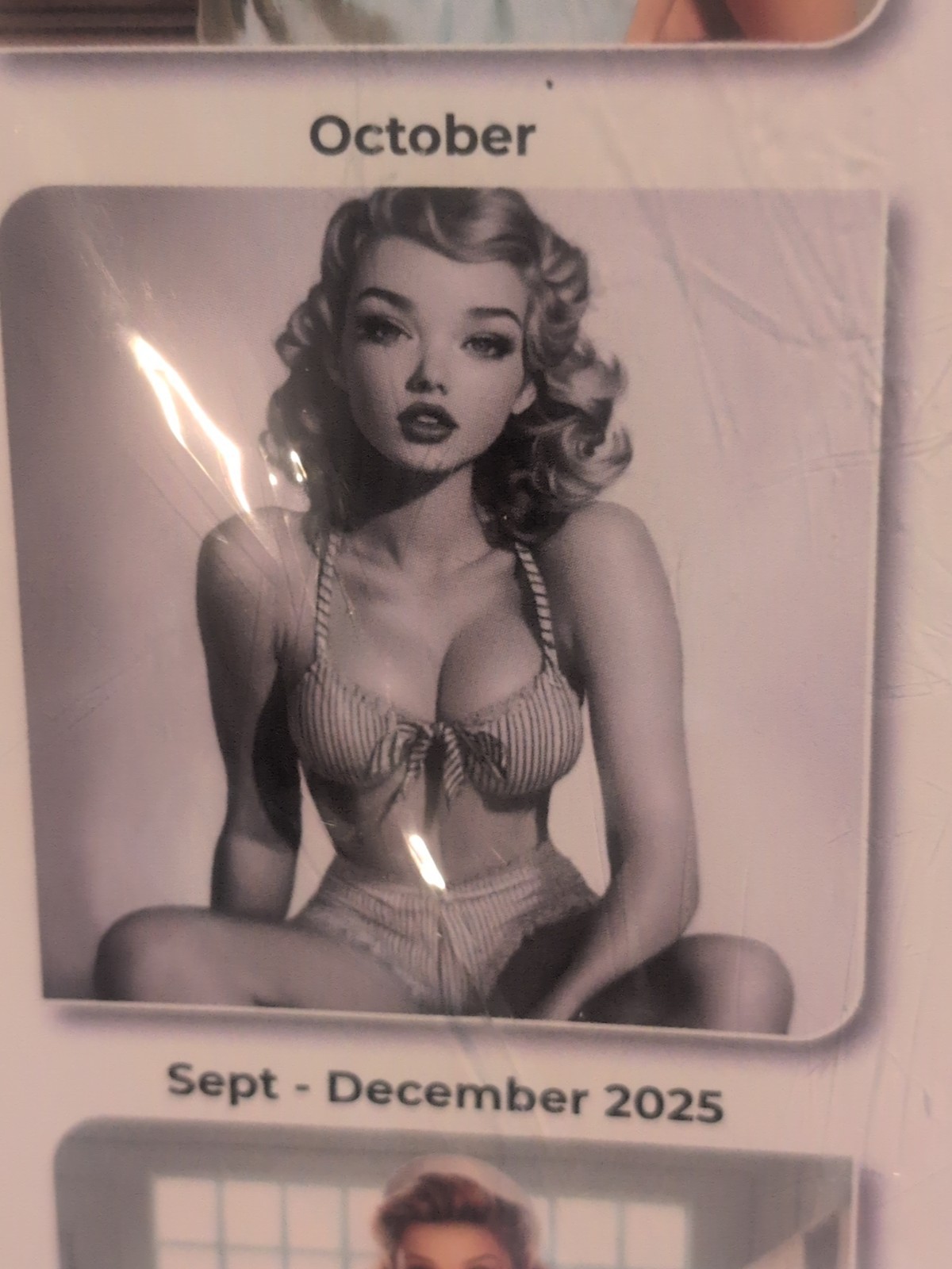 Retro Sexy Vintage Pin Up Girls Calendar 2026 Large 12×24 USA tattoo Shop Art