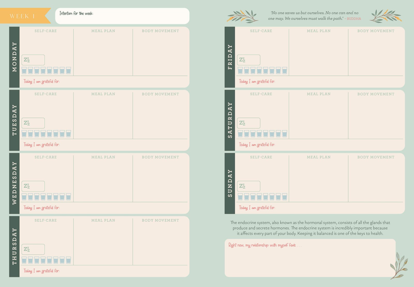 Rockpool Wellness Journal Hormone & Health Tracker For Women, Lined, 1 Unit
