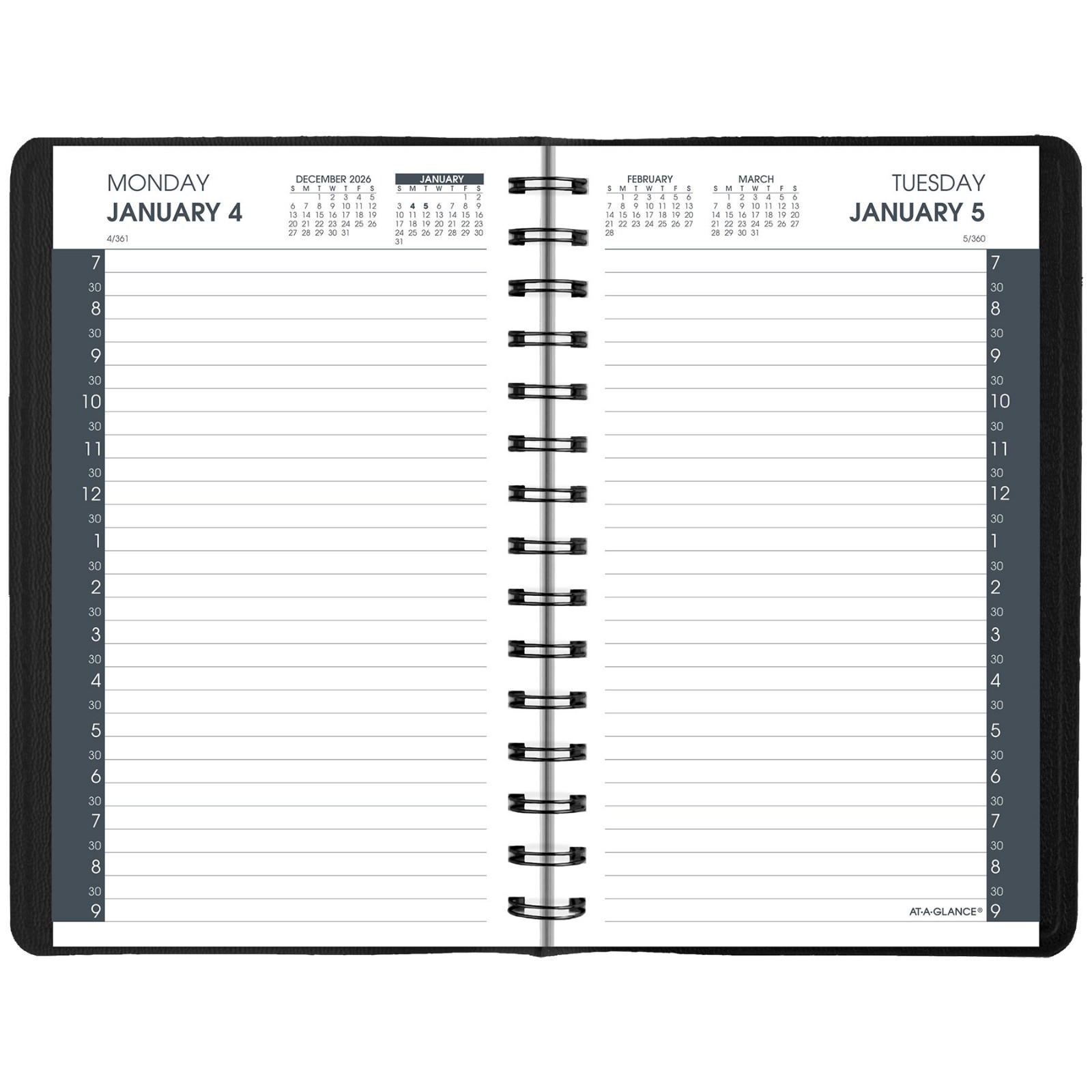 2026 At-A-Glance 70-207-05 Daily Appointment Book, 5 x 8″