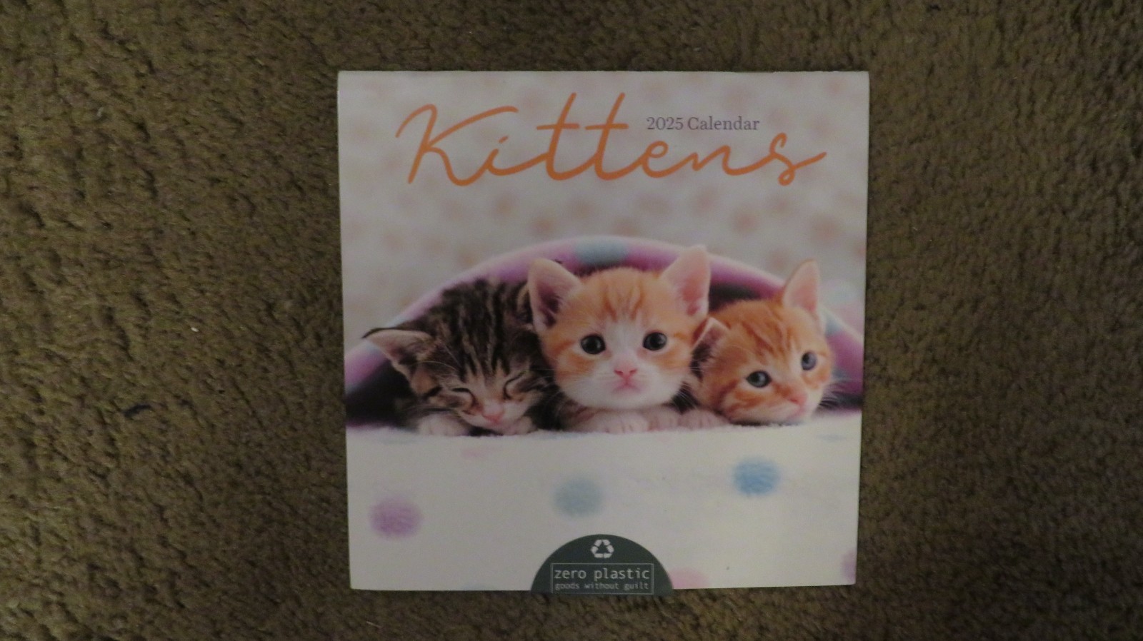 2025 TF Publishing Kittens Mini Wall Calendar 7″ x 7″ Good Cond.