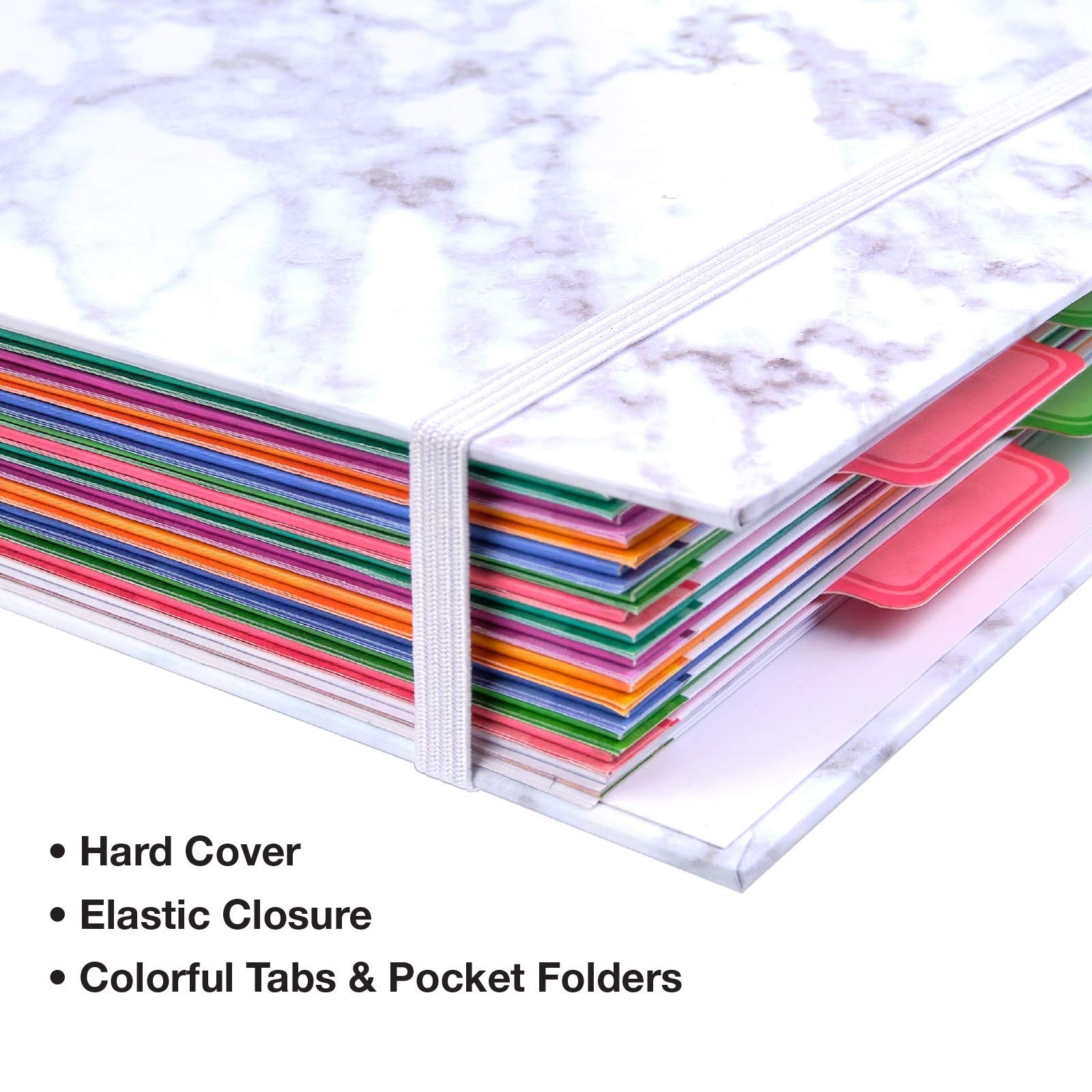 Global Printed Products Budget Bill Organizer 12 Envelopes And Pockets. Expense